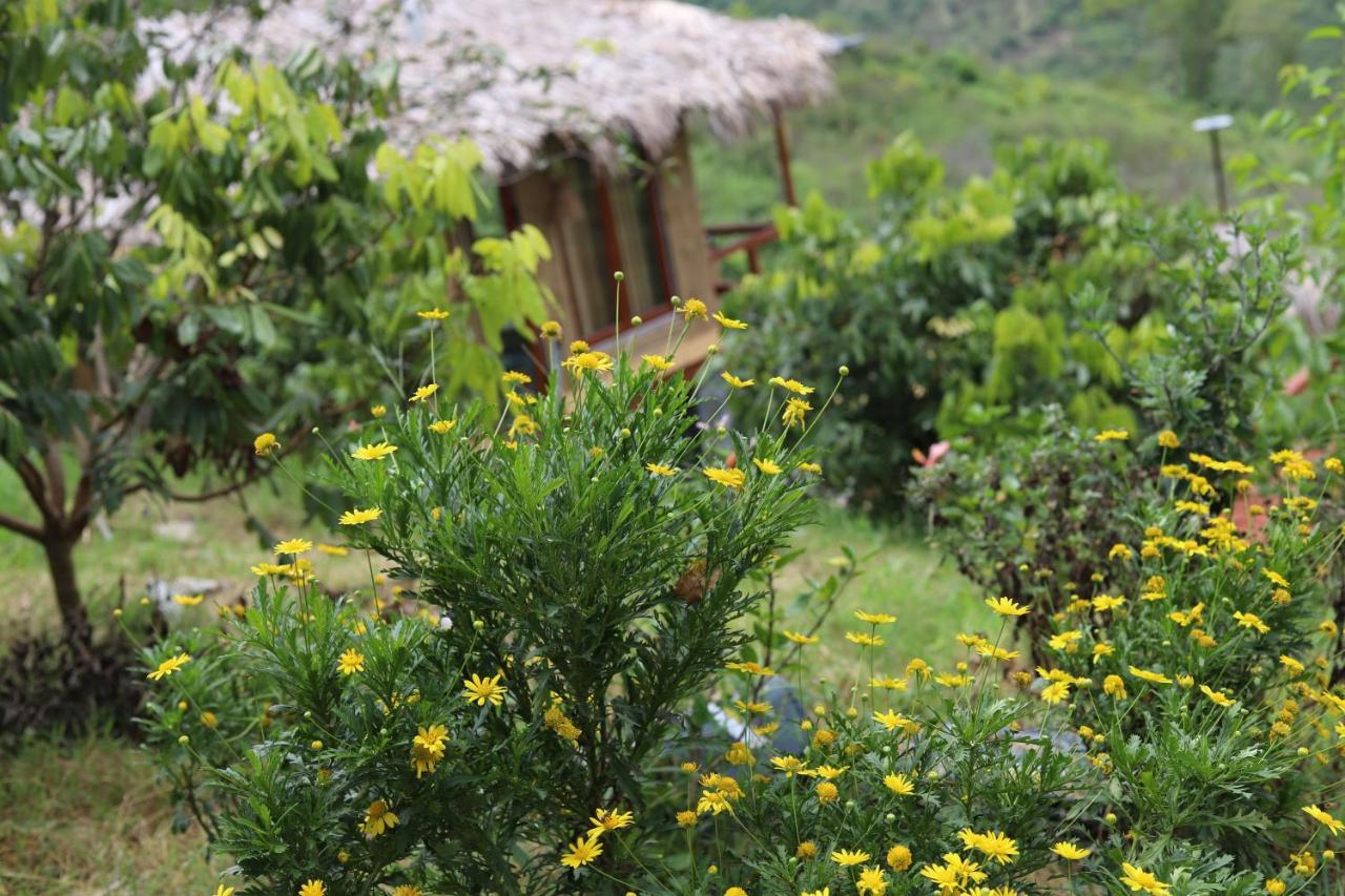 Moc Chau Peachy Garden Daire Dış mekan fotoğraf