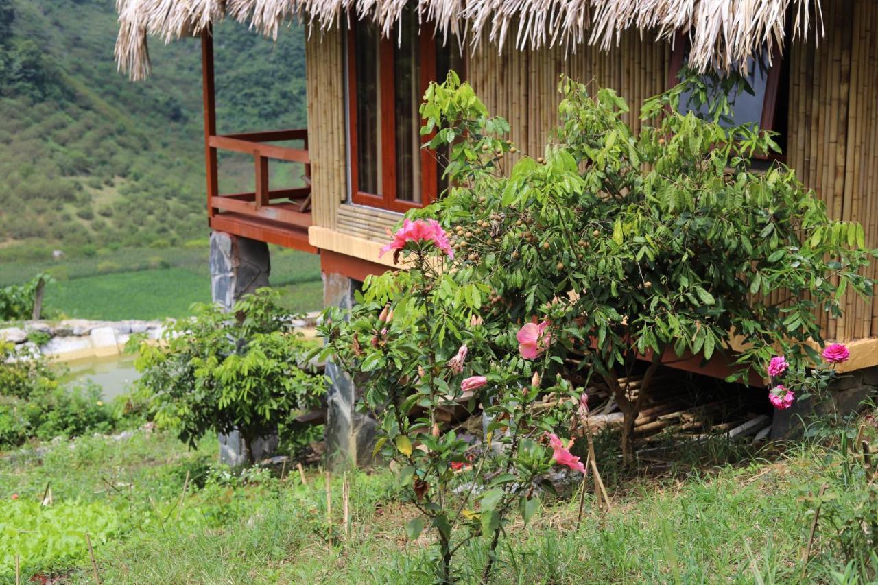 Moc Chau Peachy Garden Daire Dış mekan fotoğraf