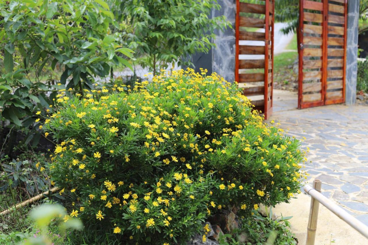 Moc Chau Peachy Garden Daire Dış mekan fotoğraf