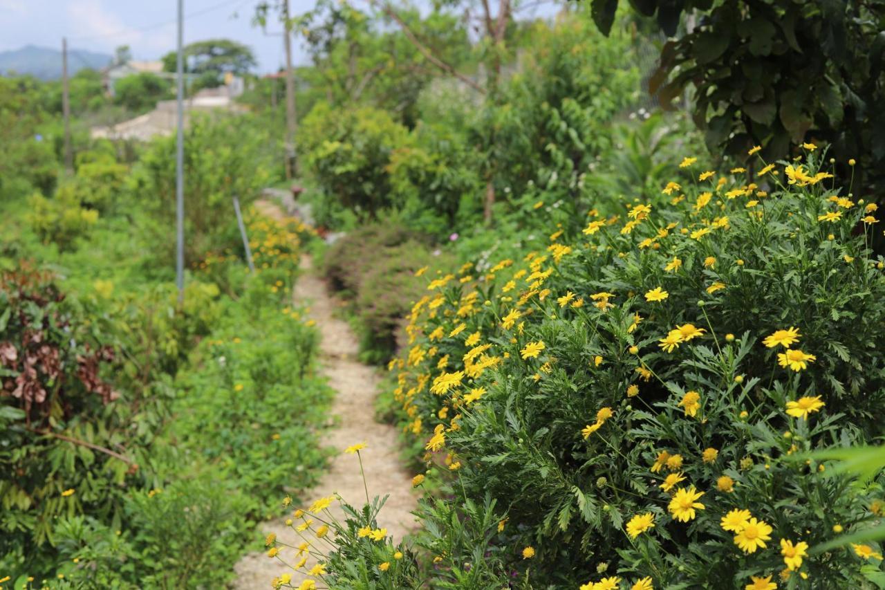 Moc Chau Peachy Garden Daire Dış mekan fotoğraf