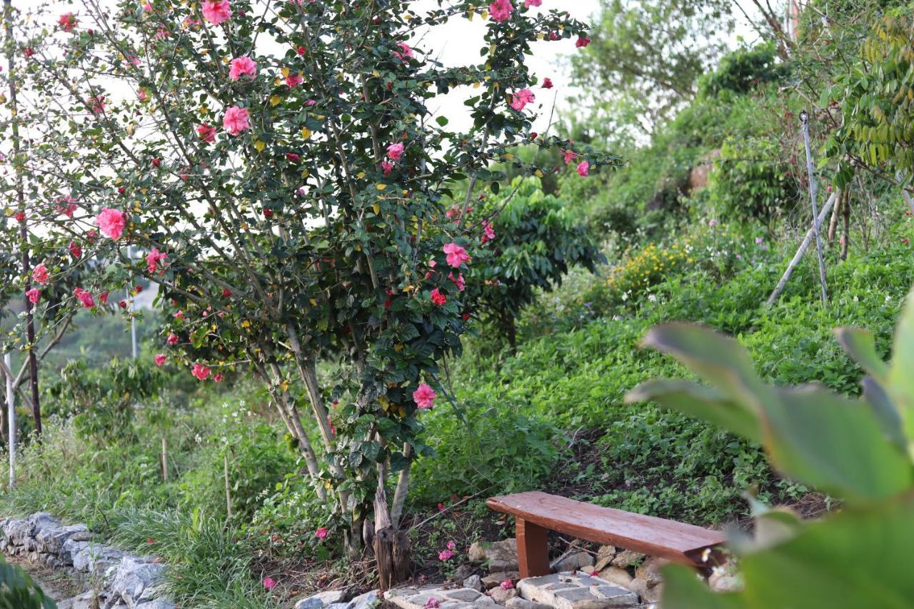 Moc Chau Peachy Garden Daire Dış mekan fotoğraf