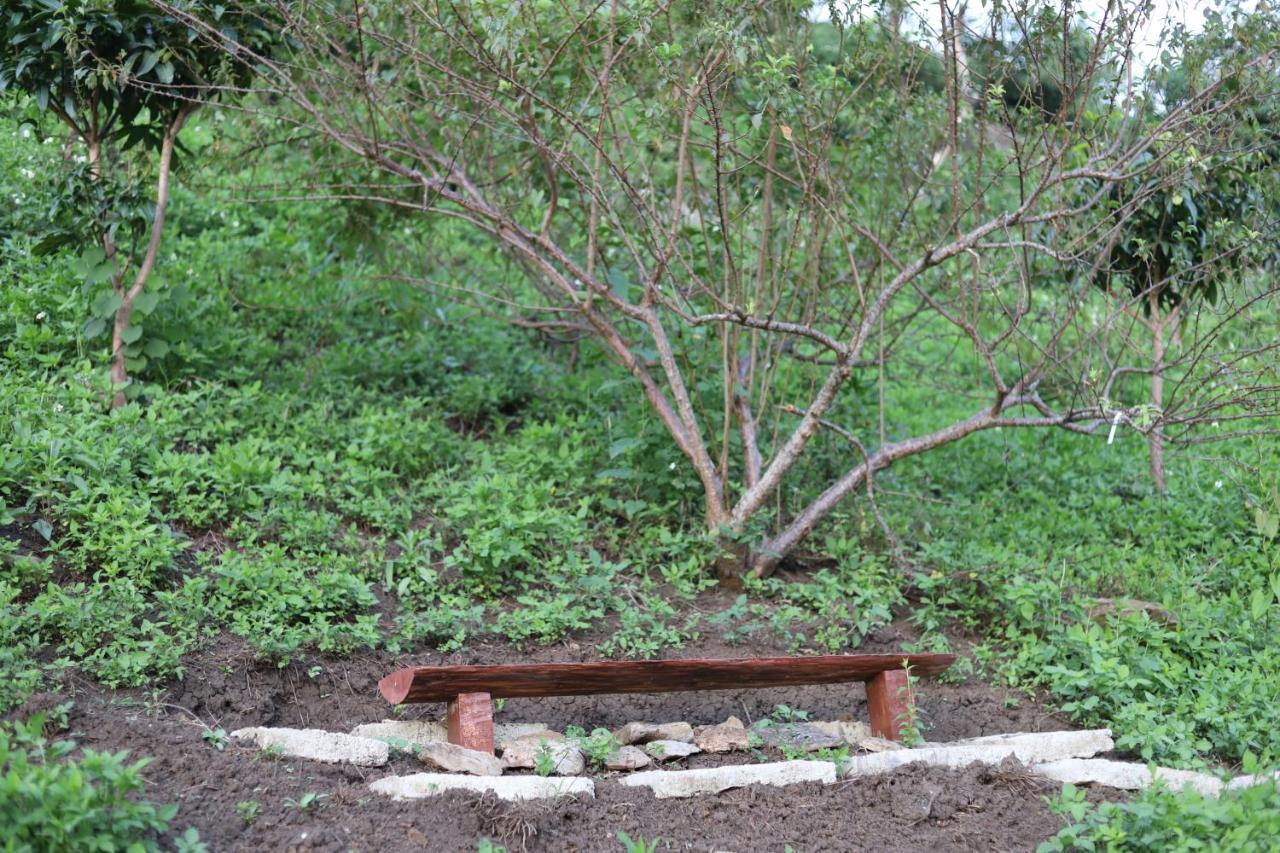 Moc Chau Peachy Garden Daire Dış mekan fotoğraf