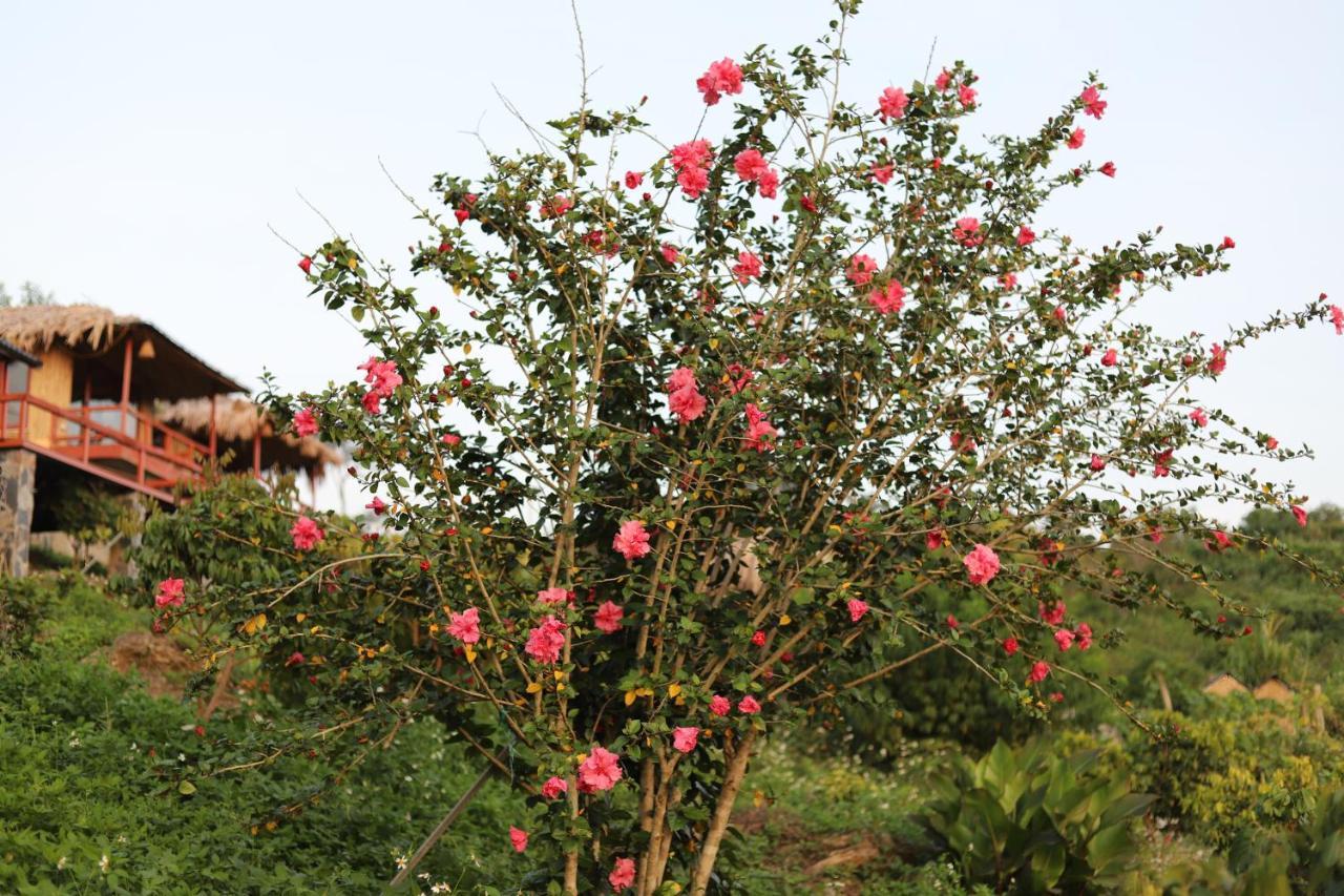 Moc Chau Peachy Garden Daire Dış mekan fotoğraf