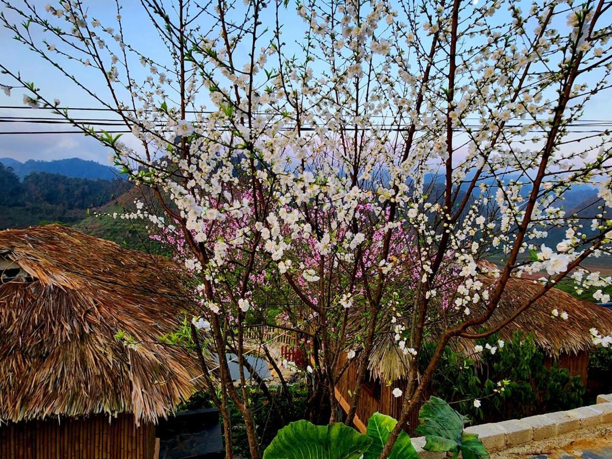 Moc Chau Peachy Garden Daire Dış mekan fotoğraf