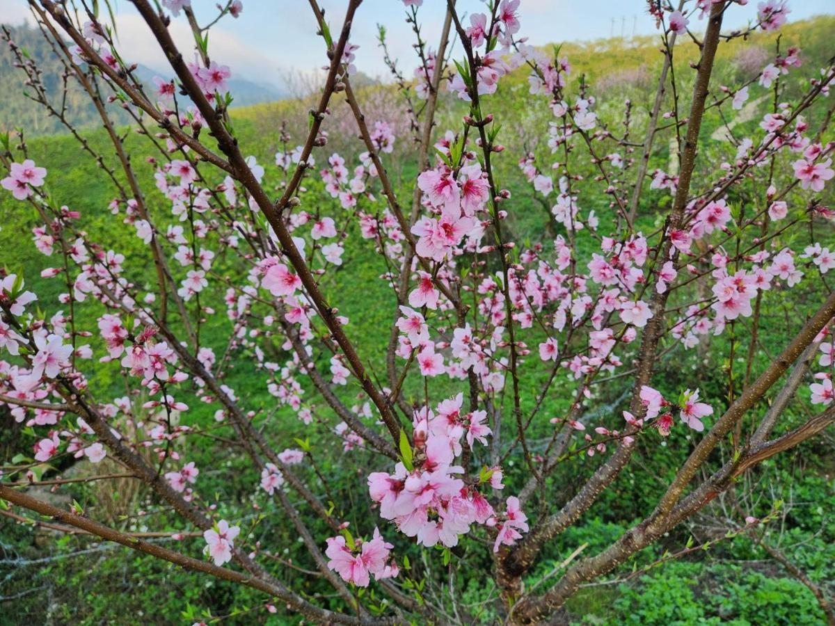 Moc Chau Peachy Garden Daire Dış mekan fotoğraf