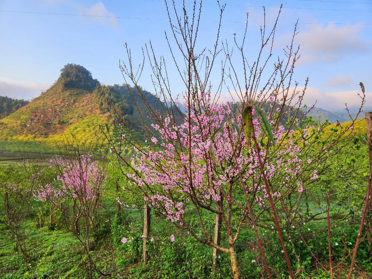 Moc Chau Peachy Garden Daire Dış mekan fotoğraf