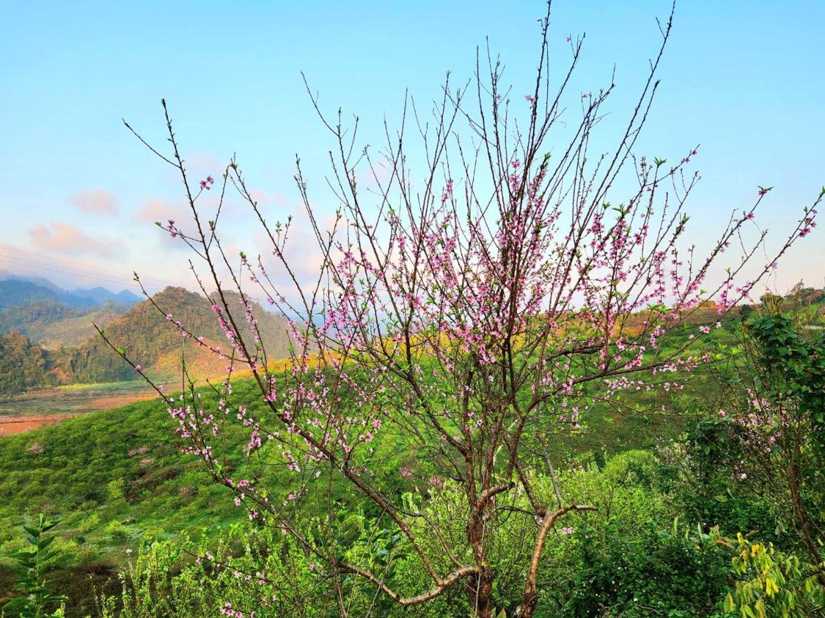 Moc Chau Peachy Garden Daire Dış mekan fotoğraf