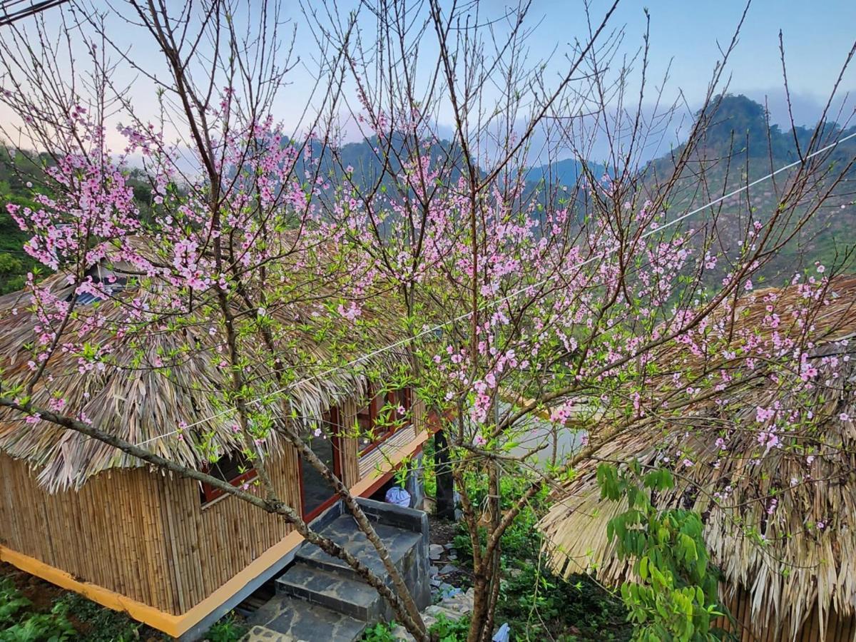 Moc Chau Peachy Garden Daire Dış mekan fotoğraf