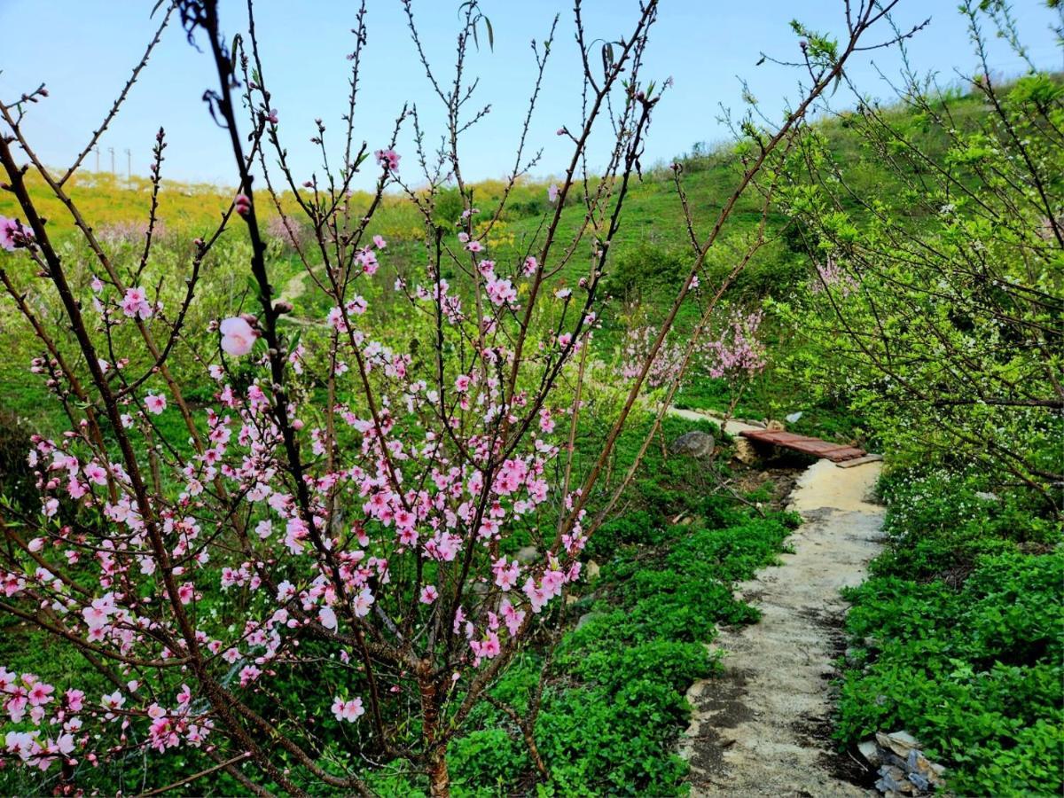 Moc Chau Peachy Garden Daire Dış mekan fotoğraf