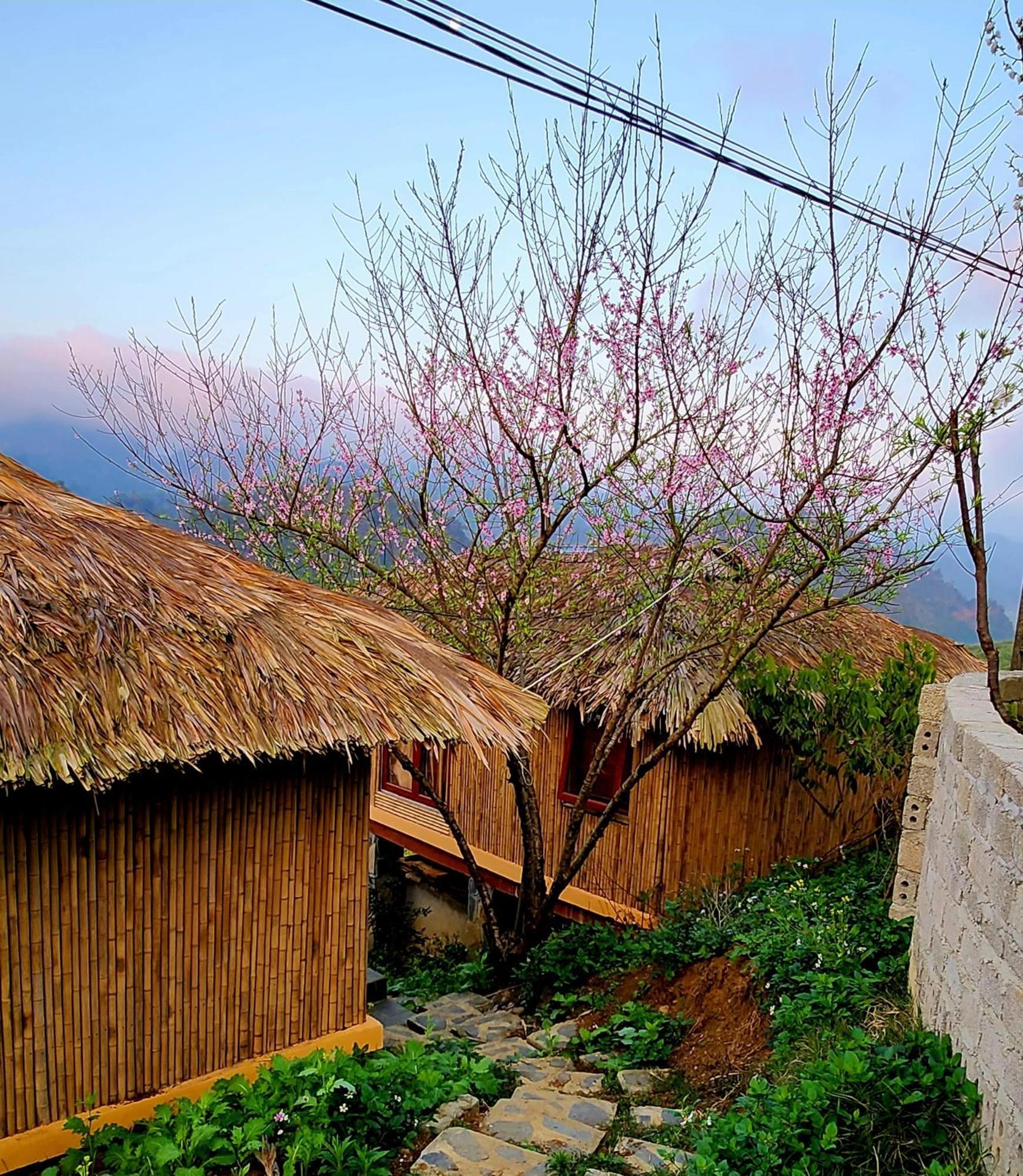 Moc Chau Peachy Garden Daire Dış mekan fotoğraf