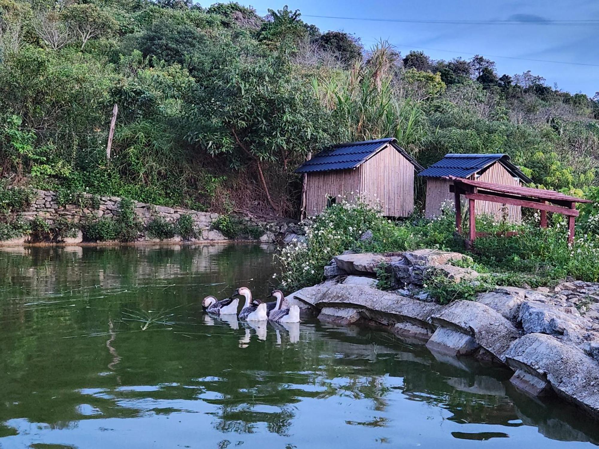 Moc Chau Peachy Garden Daire Dış mekan fotoğraf