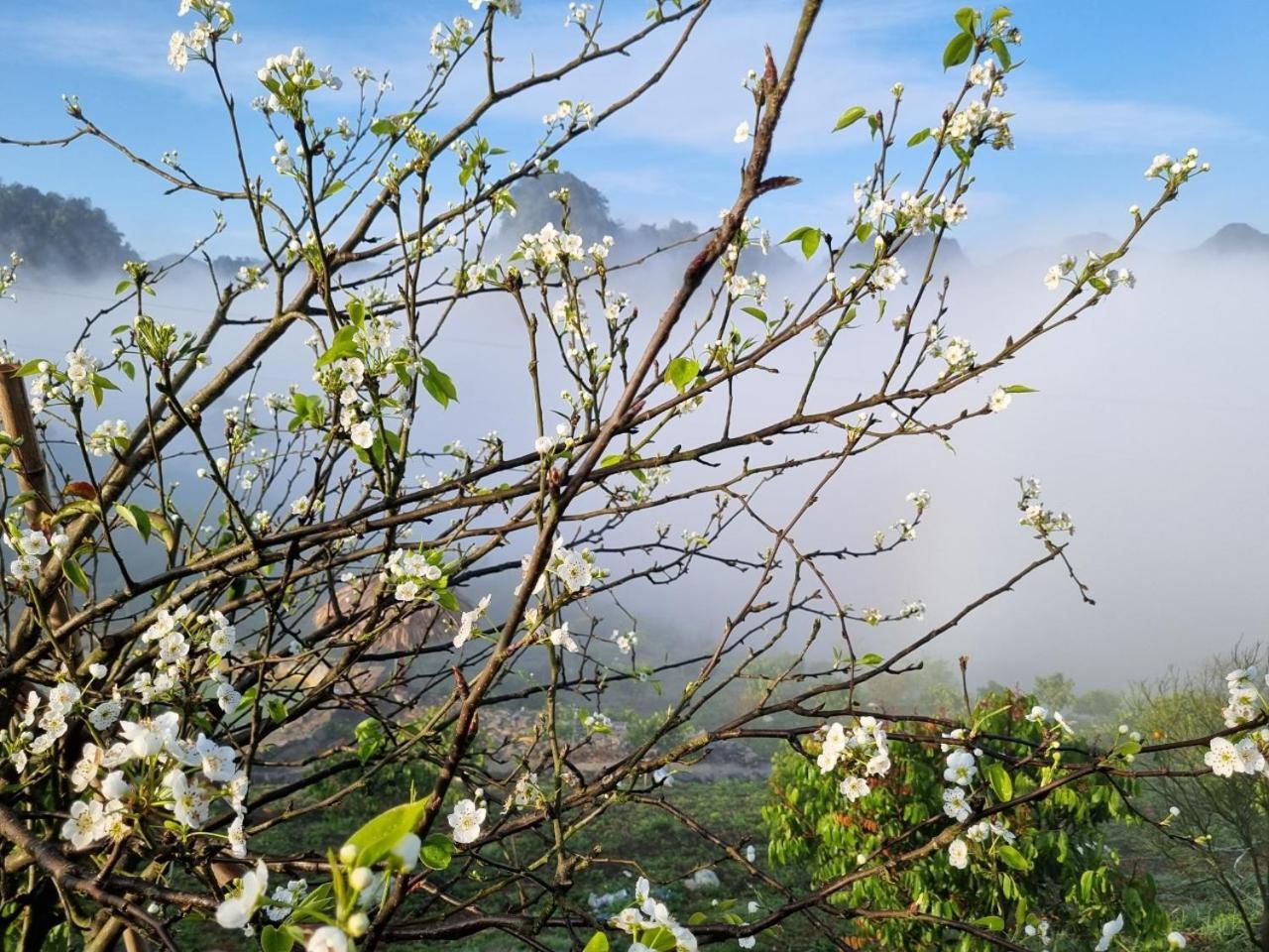 Moc Chau Peachy Garden Daire Dış mekan fotoğraf